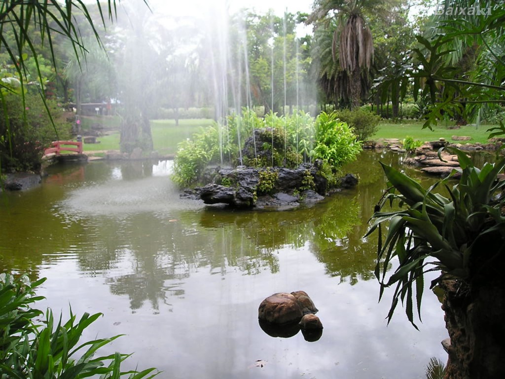 Um dos elementos de Jardim Japones: lago