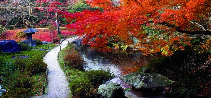 Jardim Japones: composicao dos elementos principais Jardim Japonês: Zen, art e meditação